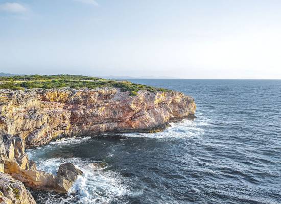 Küstenlandschaft auf Mallorca mit steilen Felsen und ruhigem Meer, umgeben von üppiger Natur.