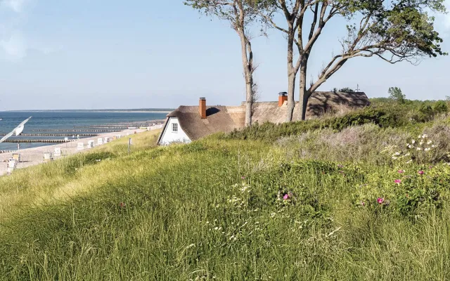 Reetdachhaus in Ahrenshoop umgeben von Dünen und Gräsern, idyllische Lage in der Natur.