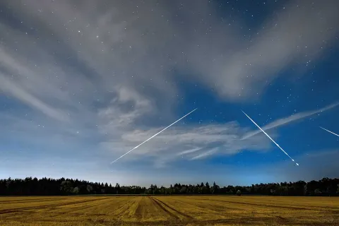 Perseiden ziehen über ein Feld und einen Wald.