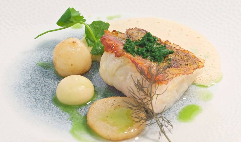 Exclusively prepared fish in a creamy sauce, decorated with fresh herbs at the Vju Hotel on Rügen.