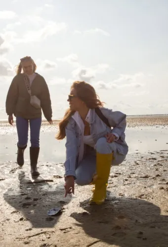 Eine Gruppe Erwachsener erkundet bei Ebbe das Wattenmeer, geht über den feuchten Sand und betrachtet Muscheln und Wattboden