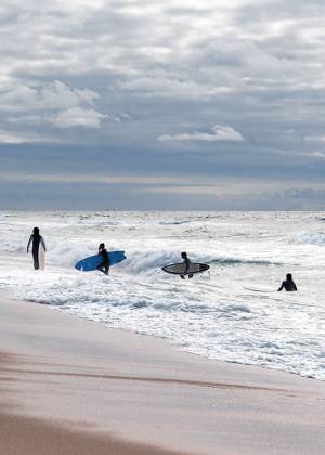 Fünf Menschen beim Surfen in den Wellen auf Sylt.