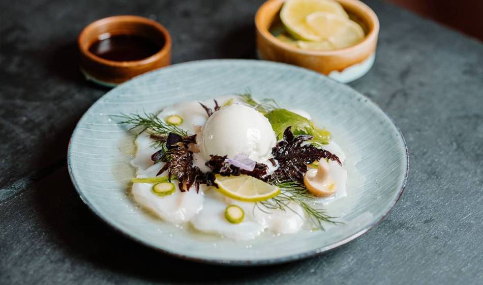 Thin slices of seafood served with fresh herbs, lemon and a white cream on a light blue plate.