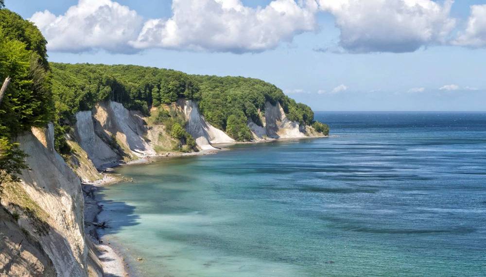 Blick auf die weißen Kreidefelsen im Nationalpark Jasmund auf Rügen mit türkisblauer Ostsee und bewaldeter Steilküste.