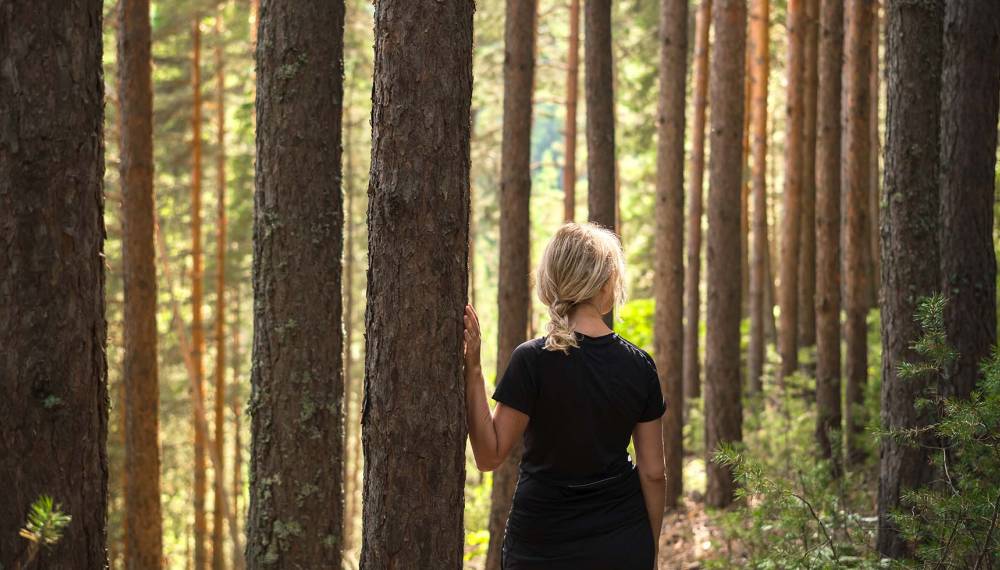 Eine Frau berührt im Wald achtsam einen Baumstamm und nutzt den Moment als bewusste Achtsamkeitsübung.