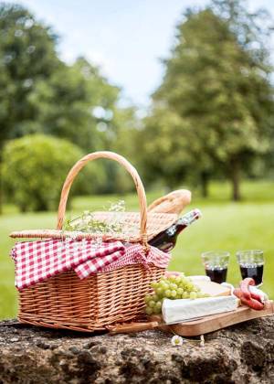 Picknickkorb mit Wein, Käse und Trauben auf einer Steinerhöhung in einer grünen Parklandschaft
