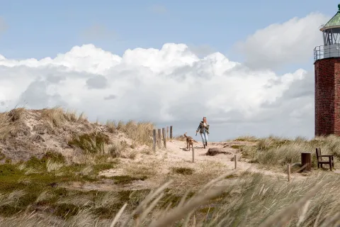 Leinen los – 4 Reiseziele mit Hund am Meer