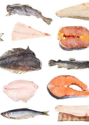 Verschiedene Fischarten und -filets auf weißem Hintergrund, darunter Lachs, Hering und Flunder.