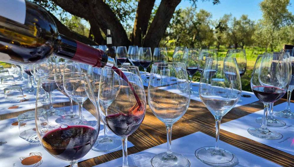 Rotwein wird auf dem Aubocassa Anwesen auf Mallorca, unter freiem Himmel auf einem gedeckten Tisch in Weingläser gefüllt.