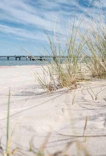 Feiner Sandstrand mit Gräsern und Blick auf eine Seebrücke an der Ostsee vor dem Vju Hotel mit zahlreichen Urlaubsangeboten.