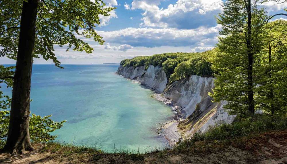 Nationalpark Jasmund auf Rügen mit Blick auf die Kreidefelsen ist ein besonderer Ort zum Waldbaden.