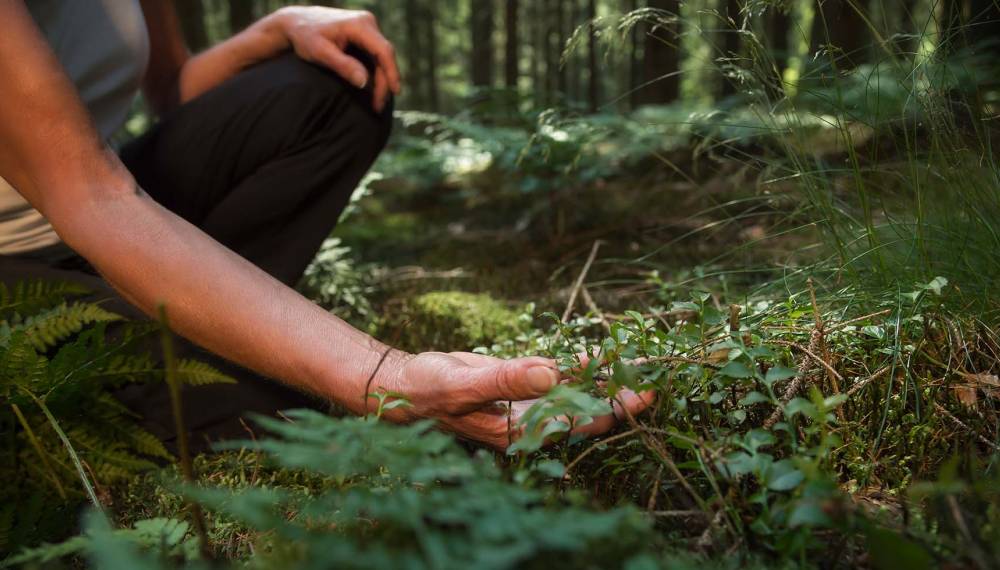 Eine Frau sitzt im Schneidersitz im Wald und nutzt das bewusste Berühren des Bodens als Achtsamkeitsübung.