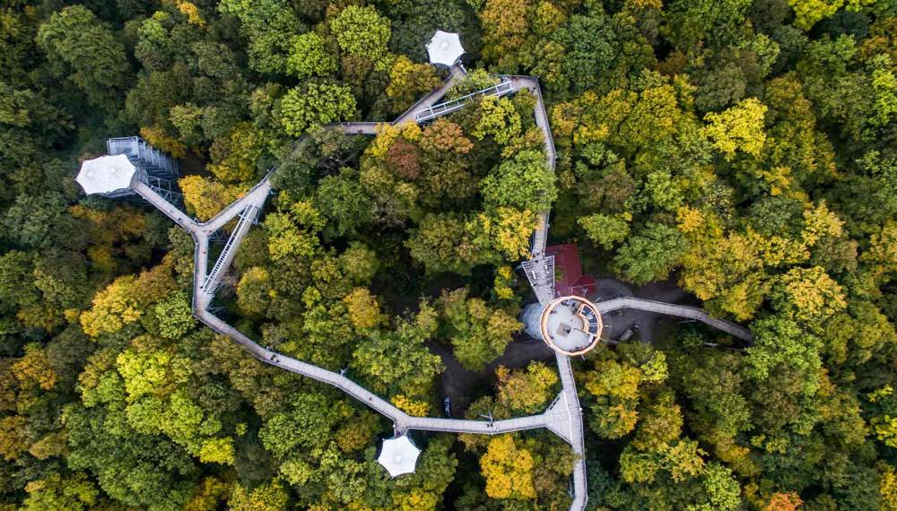 Porträt vom Baumkronenpfad Hainich in Thüringen mit Aussichtsplattform und Stegen über dem herbstlichen Laubwald.