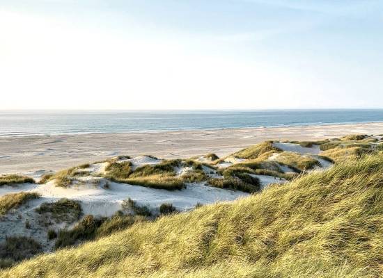 Weite Dünenlandschaft auf Sylt mit Blick auf die Nordsee bei klarem Himmel und sanftem Wellengang.