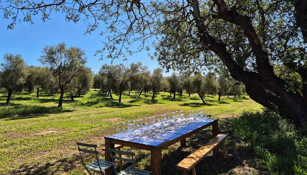 Ein gedeckter Tisch mit Weingläsern unter freiem Himmel auf der Finca Aubocassa auf Mallorca.