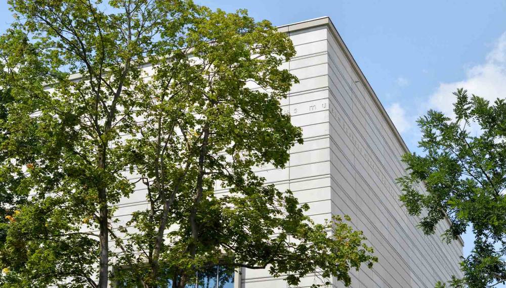 Außenansicht des Bauhaus-Museums Weimar mit heller Fassade und Bäumen im Vordergrund