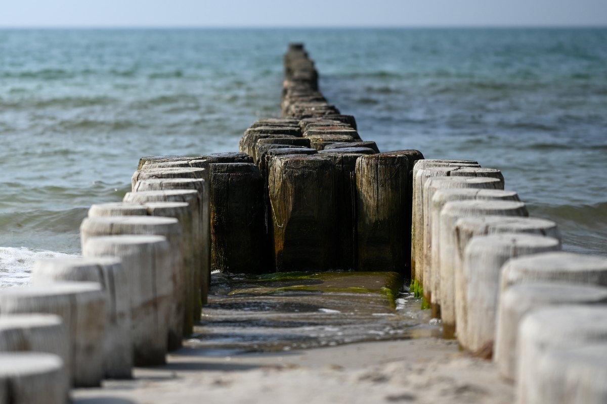 Wooden groynes jut out into the sea, surrounded by gentle waves for peace and quiet during a long stay at the Hotel SEEZEICHEN.