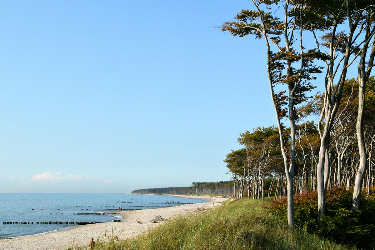 The Hotel Künstlerquartier Seezeichen is located directly on the Baltic Sea surrounded by the nature of Rügen.